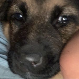 Meet your Posher, R.j